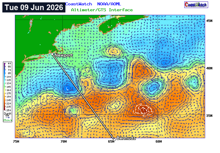 Animated daily Gulf Stream altimetry current field off the Northeast US over the last 10 days (current + previous 9), with the Newport–Bermuda rhumb and current-optimal crossing overlaid